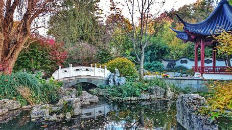 Missouri botanical gardens in st louis - St. Louis City & County First Tuesday of the Month; First Two Hours of Operation. Available Onsite Only. $5.00 Child & Seniors Rate ... Missouri Botanical Garden . 4344 Shaw Blvd, St. Louis, MO 63110 (314) 577-5100. Hours & Admission. Butterfly House . 15050 Faust Park Chesterfield, MO 63017